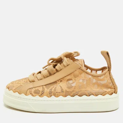 Pre-owned Chloé Lauren Size 37 Brown Lace And Leather Lace Up Sneakers
