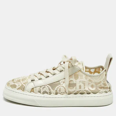 Pre-owned Chloé Lauren Size 40 Cream Lace And Leather Lace Up Sneakers In White