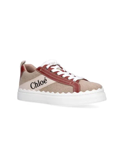 Chloé Lauren Sneakers In White - Brown