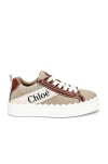 Chloé Chloe' Chloè Lauren Low Top Sneakers In White & Brown