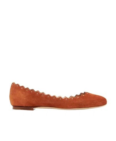 Chloé Lauren Stud-detailed Ballerina Shoes In Brown