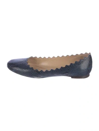 Pre-owned Chloé Leather Animal Print Ballet Flats In Blue