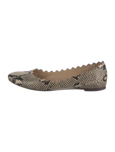 Pre-owned Chloé Leather Animal Print Ballet Flats In Neutral