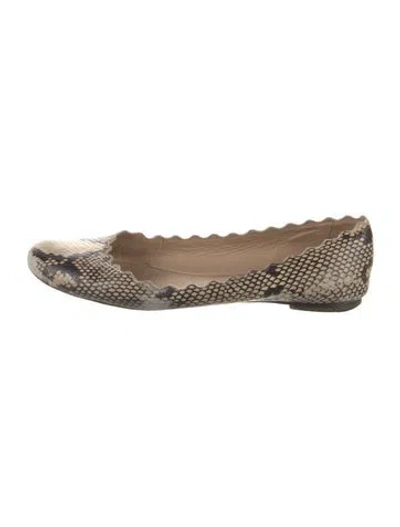 Pre-owned Chloé Leather Animal Print Ballet Flats In Neutral