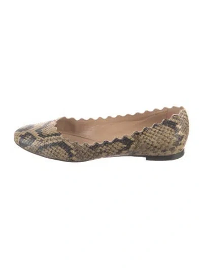 Pre-owned Chloé Leather Animal Print Ballet Flats In Neutral