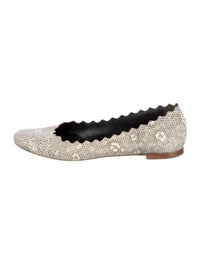 Pre-owned Chloé Leather Animal Print Ballet Flats In Neutral