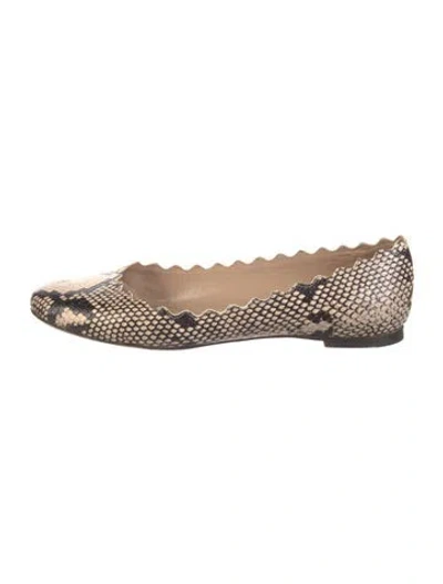 Pre-owned Chloé Leather Animal Print Flats In Neutral