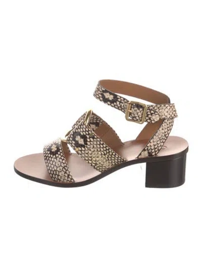 Pre-owned Chloé Leather Animal Print Sandals W/ Tags In Neutral