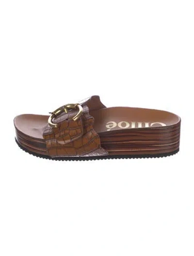 Pre-owned Chloé Leather Animal Print Slides In Brown
