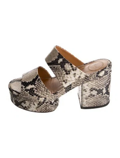 Pre-owned Chloé Leather Animal Print Slides In Neutral