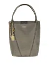 Chloé Leather Chain-detail Shoulder Bag In Gray
