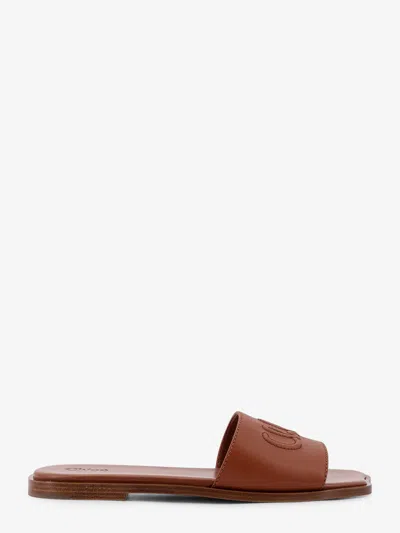 Chloé Soleil Calf Leather Flat Sandals In Brown