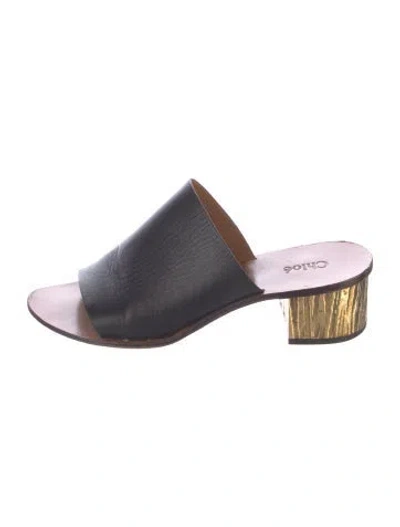 Pre-owned Chloé Leather Colorblock Pattern Slides In Multi