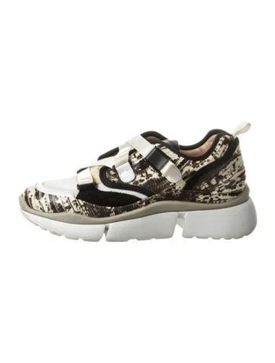 Pre-owned Chloé Leather Colorblock Pattern Sneakers In Brown