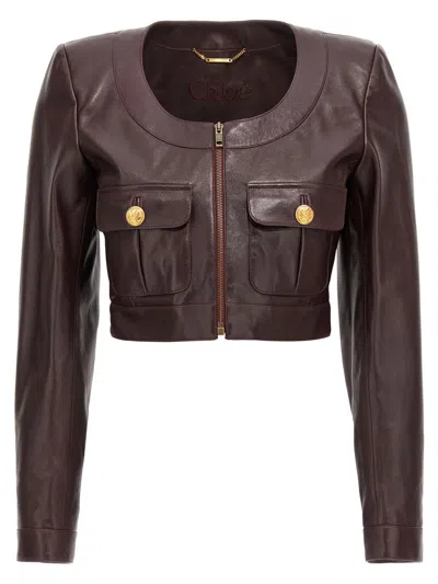 Chloé Cropped Jacket In Brown