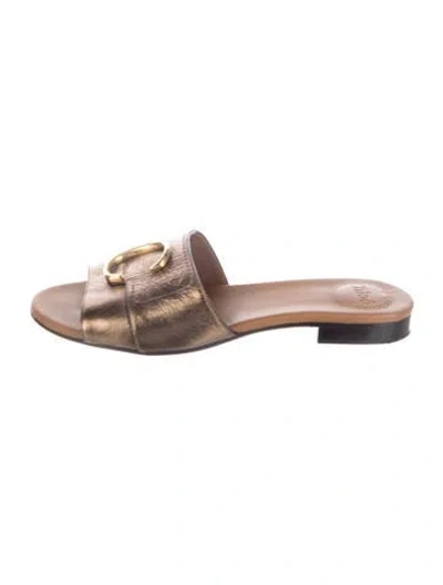 Pre-owned Chloé Leather Leather Trim Embellishment Slides In Gold