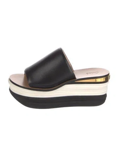 Pre-owned Chloé Leather Mules In Multi
