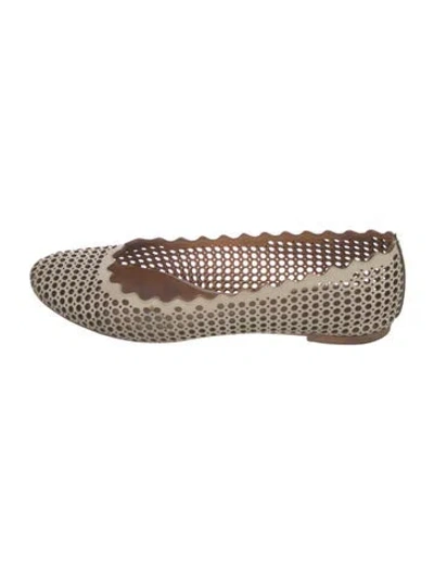 Pre-owned Chloé Leather Patterned Ballet Flats In Neutral