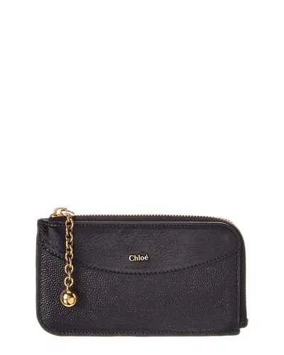 Chloé Leather Pouch In Brown