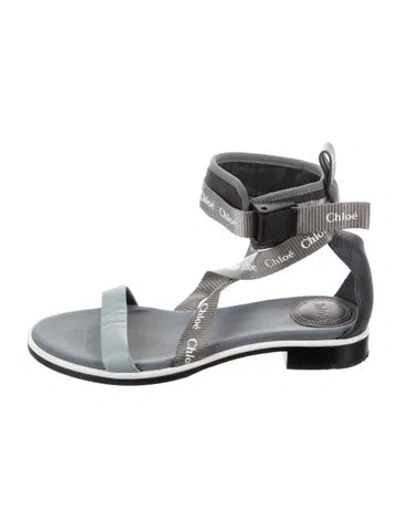 Pre-owned Chloé Leather Printed Gladiator Sandals In Blue