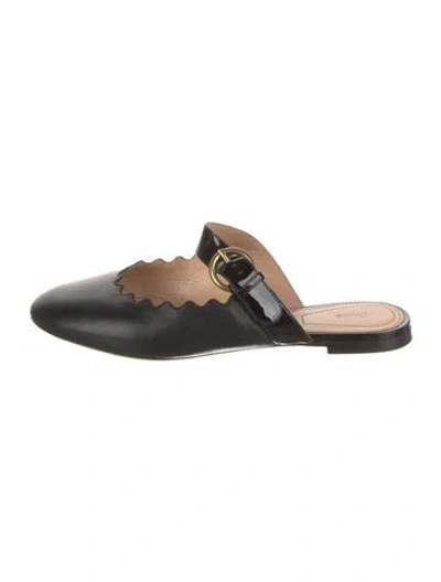 Pre-owned Chloé Leather Scalloped Accent Mules In Black