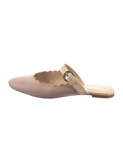 Pre-owned Chloé Leather Scalloped Accent Mules In Pink