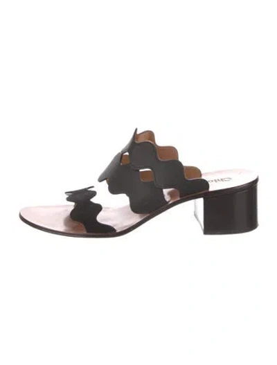 Pre-owned Chloé Leather Scalloped Accent Slides In Black