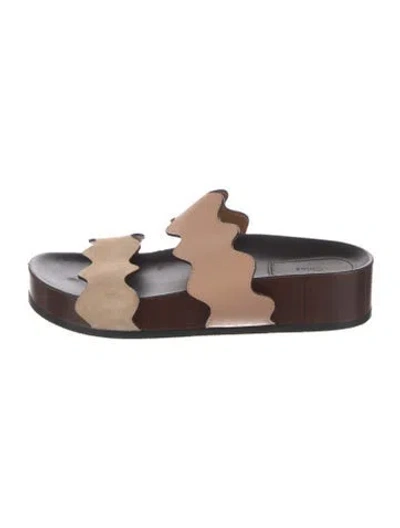 Pre-owned Chloé Leather Scalloped Accent Slides In Brown
