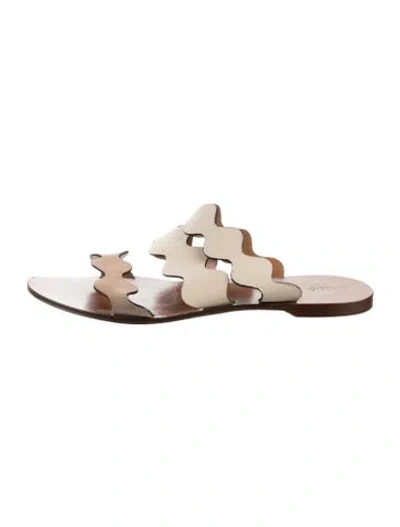 Pre-owned Chloé Leather Scalloped Accent Slides In Neutral