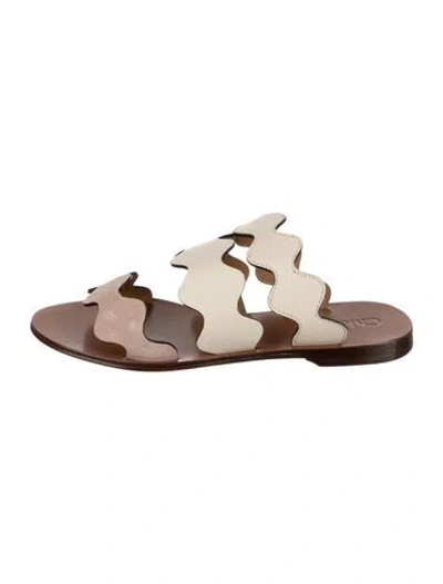 Pre-owned Chloé Leather Scalloped Accent Slides In Neutral