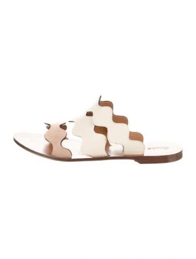 Pre-owned Chloé Leather Scalloped Accent Slides In Neutral