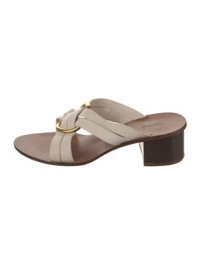 Pre-owned Chloé Leather Slides In Brown/neutrals