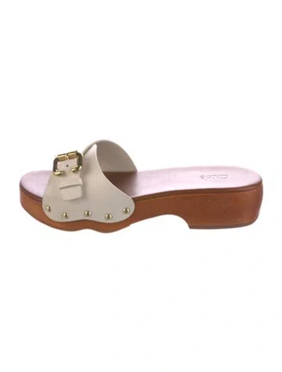 Pre-owned Chloé Leather Slides In Multi