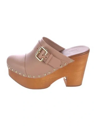 Pre-owned Chloé Leather Studded Accents Mules In Brown
