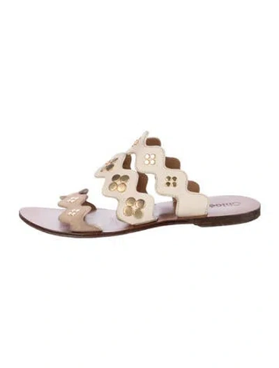 Pre-owned Chloé Leather Studded Accents Slides In Brown