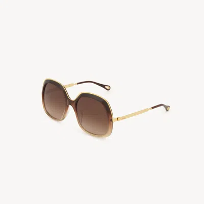 Chloé Leia Sunglasses Brown Size Onesize 90% Acetate, 10% Nickel