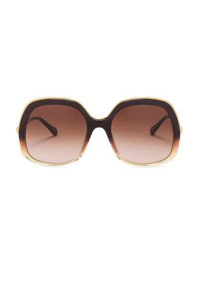 Chloé Leia Sunglasses In Multi