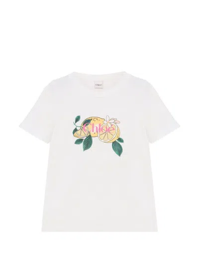 Chloé Logo Cotton T Shirt Short Sleeves Crewneck In White