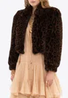 Chloé Leopard Print Faux Fur Cropped Jacket In Brown