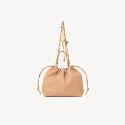 Chloé Light Tan In Brown