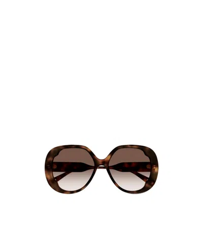 Chloé Lilli Oversize-frame Sunglasses In Multi