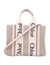 Chloé Chloè Woody Small Canvas And Leather Tote Bag In Neutrals