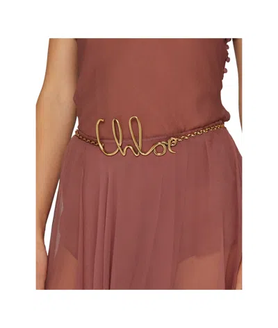 Chloé Logo Belt In Brown