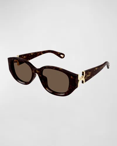 Chloé Logo Beveled Acetate Round Sunglasses In Shiny Dark Havana