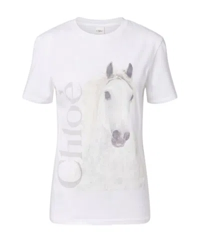 Chloé Cotton Crew Neck Graphic Short Sleeve T-shirt In White