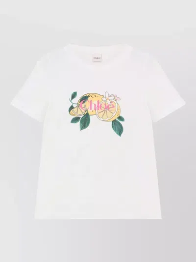 Chloé Logo Cotton T Shirt Short Sleeves Crewneck In White