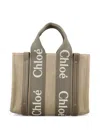 Chloé Small Woody Tote Bag In Linen In Neutral