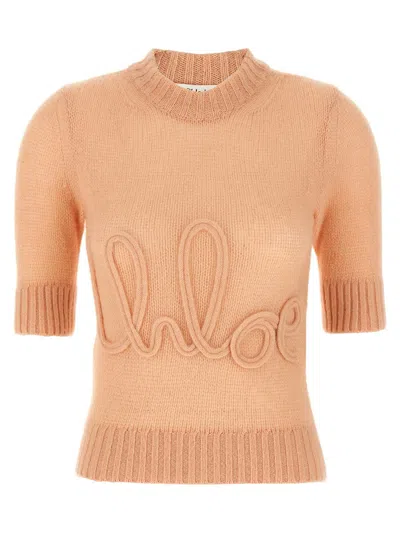 Chloé Logo Embroidery Sweater Sweaters And Cardigans Pink In Neutral