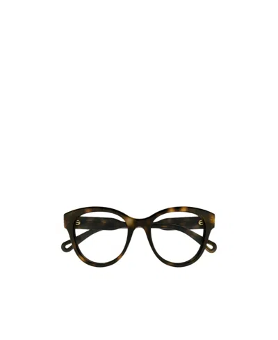 Chloé Eyewear Rectangular Frame Glasses In Brown