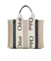 Chloé Chloe Multicolor Fabric Small Woody Shopping Bag In Multi